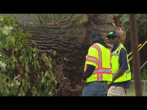 Cleanup across Indianapolis continues after Friday's storm