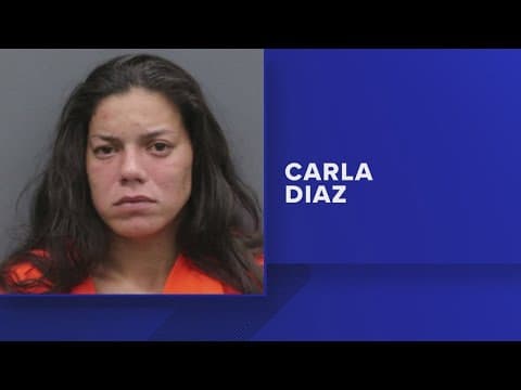 Woman who claimed to have found 3 abandoned dogs in Lutz arrested on animal cruelty charges: HCSO