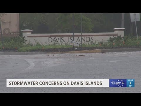 'Drainage has gotten worse': Davis Islands residents raise concerns over flooding from storms