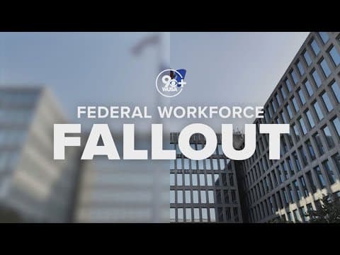 Nonprofit launches platform to help state, local governments increase hiring of federal workers