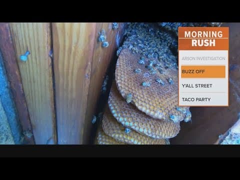 80-year-old woman gets her home back after bees invaded