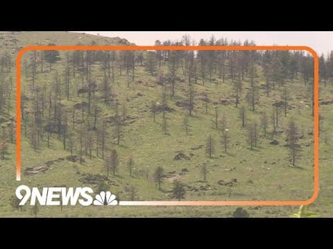 Colorado mountain burn scars still considered flash flood risks despite soil recovery