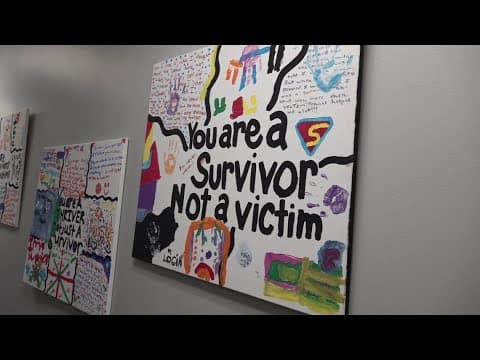 Hamilton County domestic violence shelter on hold due to 'financial constraints' caused by SB1