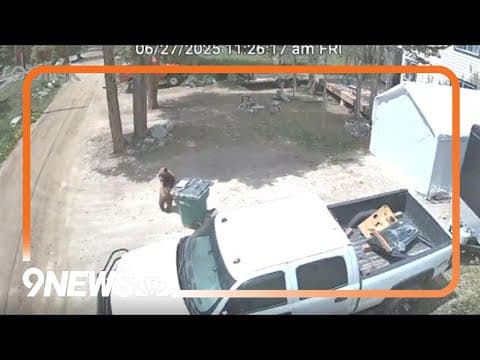 WATCH: Bear takes in the trash