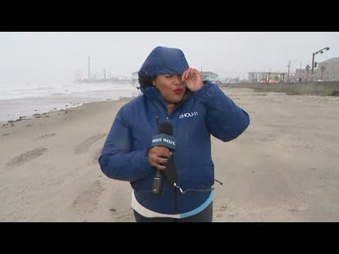 Reporter fights wind in live TV report from Galveston beach