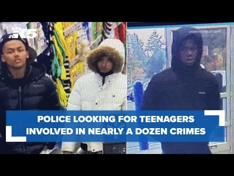 Police looking for group of teenagers involved in nearly one dozen crimes