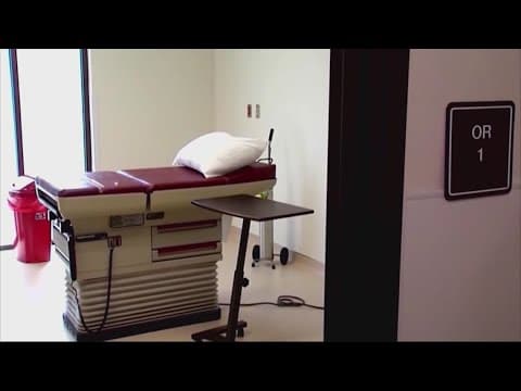 Texas judge grants pregnant Dallas woman permission to get an abortion despite state’s ban