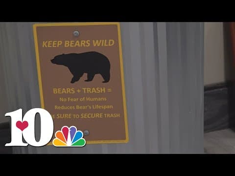 Gatlinburg leaders spending millions to keep bears and people safe and away from each other