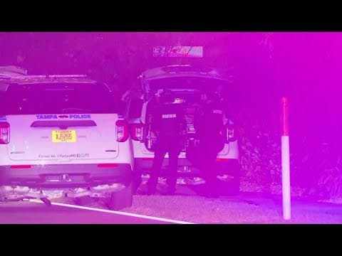 Tampa man arrested after entering ex's home before hours-long standoff with officers, officials say