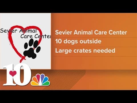 Sevier Animal Care Center asks for help in getting dogs to safety due to weather