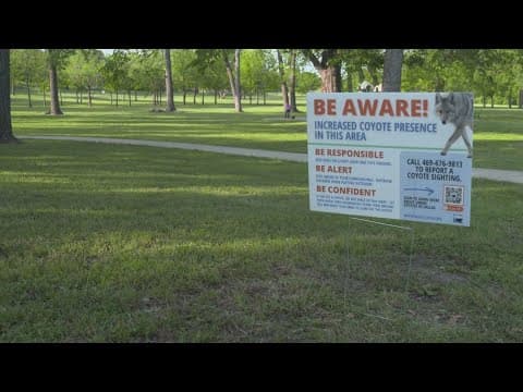 Two children chased by a coyote near a lake in North Texas