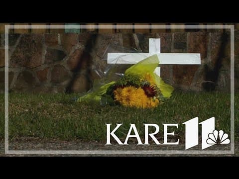 Closer look at youth crime data after teen accused of deliberately hitting, killing man with stolen