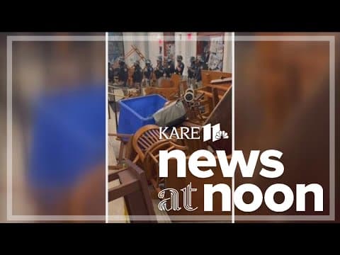 Police arrest hundreds of pro-Palestinian protestors overnight