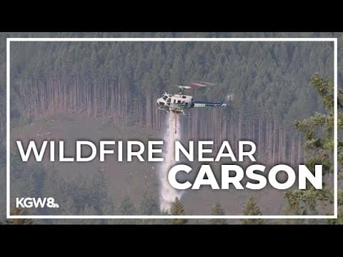 Evacuation levels dropped in Skamania County wildfire near Carson