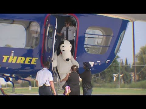 Future service dogs get a ride on the Goodyear blimp, get to meet Snoopy