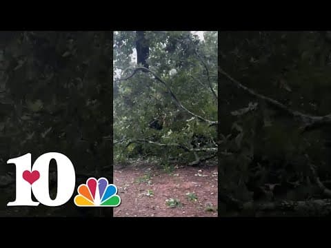 Downed trees reported in the region as Helene passes through East Tennessee