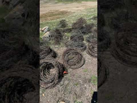 Decades-old barbed wire fence comes down