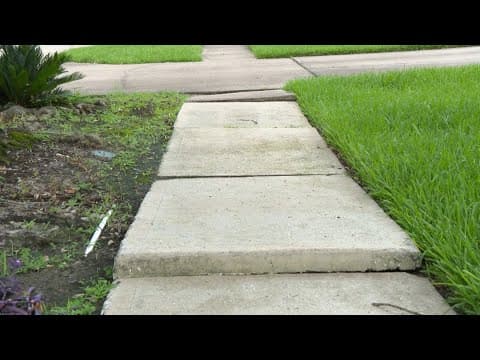 Northwest Harris County woman says several people have tripped on tree-damaged sidewalks