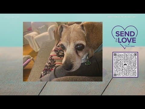 Send the Love update