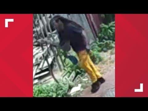 Police look for assault suspect they say hit victim with tire iron