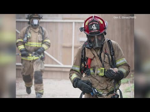 Fort Worth firefighters save 2 kittens and pregnant dog from house fire