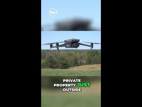 Mountain lion stalks deer