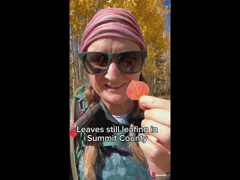Summit County Leaf Look