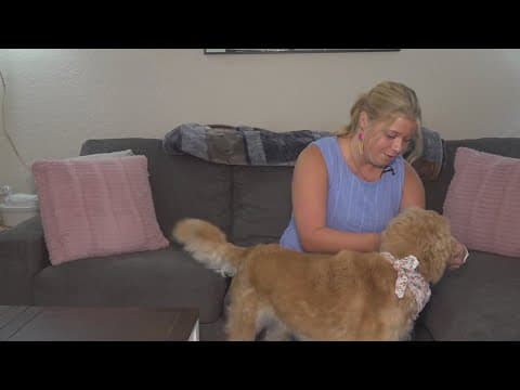 Knoxville woman creates platform to provide resources for child abuse after surviving abuse herself