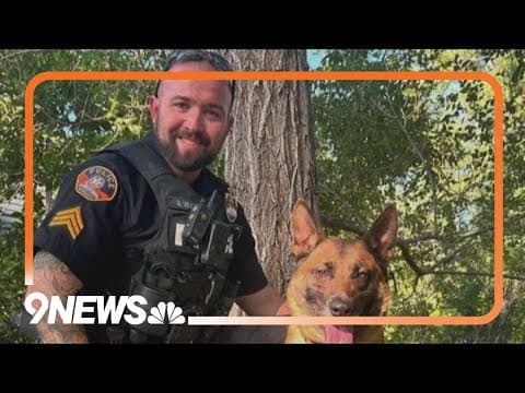 Court documents: Morrison officer used his handcuffs on his own kids, leading to child abuse charges