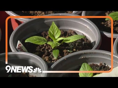 Gardening forecast: When is the best time to plant?