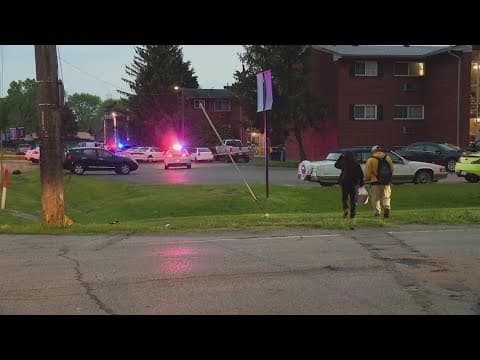 Man preliminarily charged with murder for deadly south side stabbing