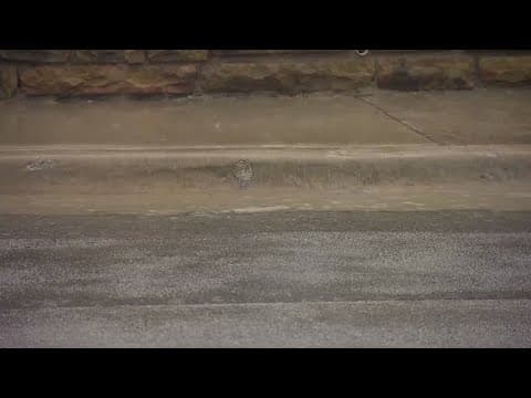 Heavy rain causes slick roads in North Dallas: Latest updates