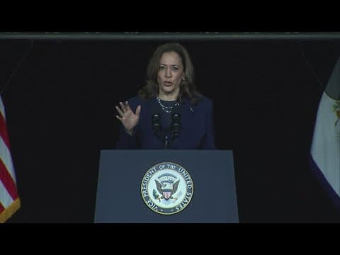 VP Kamala Harris responds to Donald Trump's comments on her race