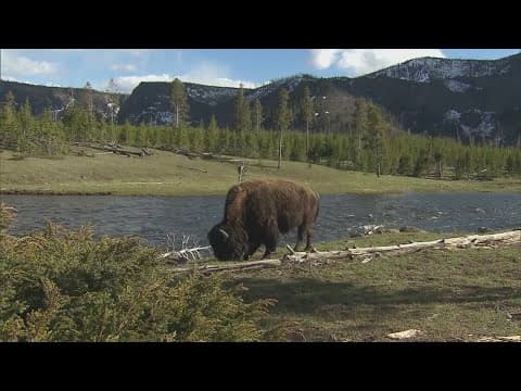 National Parks brace for busy season with even less staff