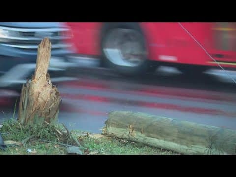 All involved in Alexandria police chase, crash were under 18