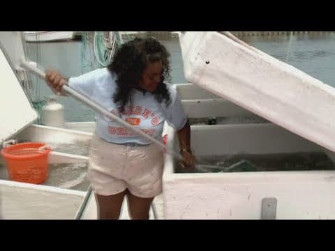 Where's Whitney: Shrimpin' Down the Bayou