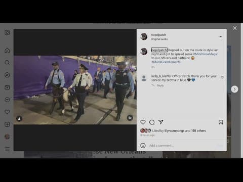 NOPD's Patch The Mini Horse takes to the parade routes in New Orleans