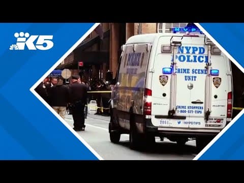 Evidence gathering in UnitedHealthcare CEO killing