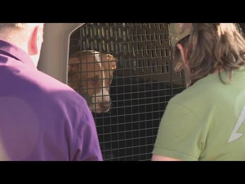 Prince George's Co. Animal Shelter needs your help