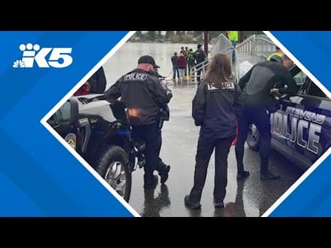 Person drives car into Lake Stevens