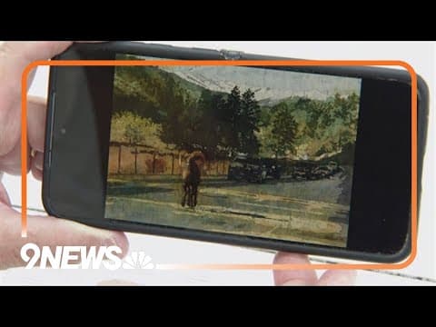 'It's gone' | Colorado artist's studio burns in Alexander Mountain Fire