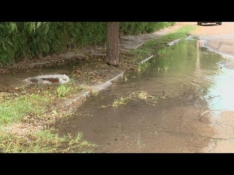 Water leak on Hollygrove Street frustrates neighbors in New Orleans
