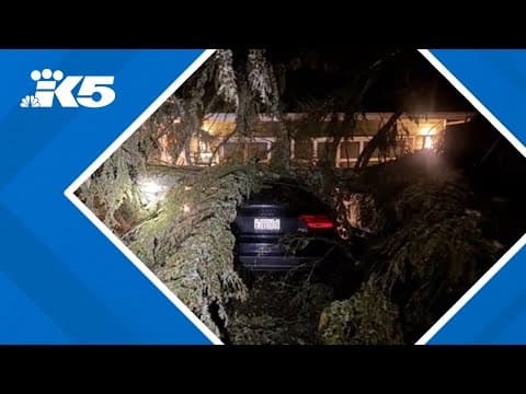 Crews and citizens working to clear trees from roads and homes