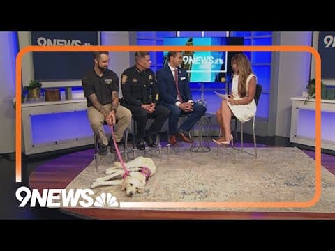 Douglas County honoring local heroes at annual gala