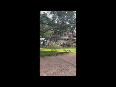Tree down in Jackson Square - teen injured