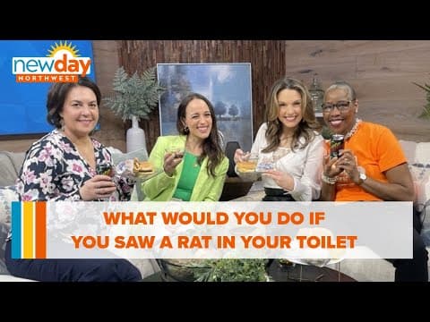 What would you do if you saw a rat in your toilet? - Hot Topics - New Day NW