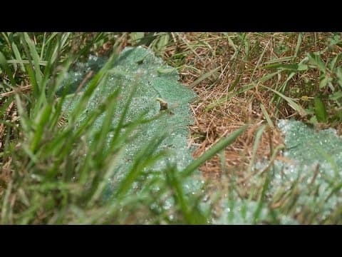 Residents ask TxDOT to improve safety on a Texas road