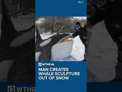 Man creates whale sculpture out of snow
