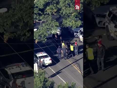 Child hit and killed by school bus driver