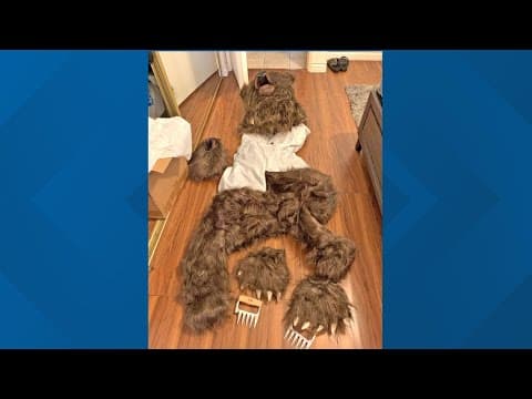 4 arrested, accused of wearing bear costume and damaging cars for insurance money